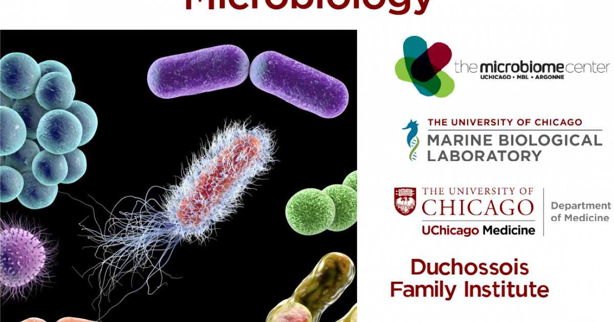 UChicago's Microbiology Department Is Searching For A New Chair ...